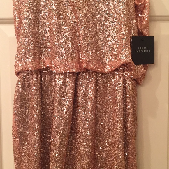 BRAND NEW GORGEOUS ROBERT RODRIGUEZ DRESS - Picture 3 of 6